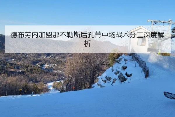 de-bu-lao-nei-jia-meng-na-bu-le-si-hou-kong-di-zhong-chang-zhan-shu-fen-gong-shen-du-jie-xi-2-814.jpg