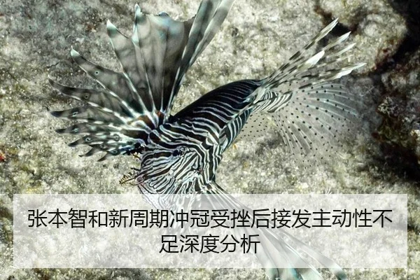 zhang-ben-zhi-he-xin-zhou-qi-chong-guan-shou-cuo-hou-jie-fa-zhu-dong-xing-bu-zu-shen-du-fen-xi-2-487.jpg